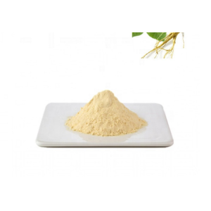 100 pure natural Ginseng Extract ginseng root extract