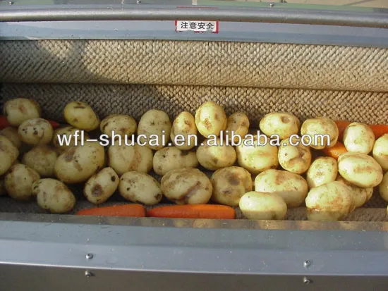 Potato Peeler/Potato(brush) Peeling Machine/Potato Washer