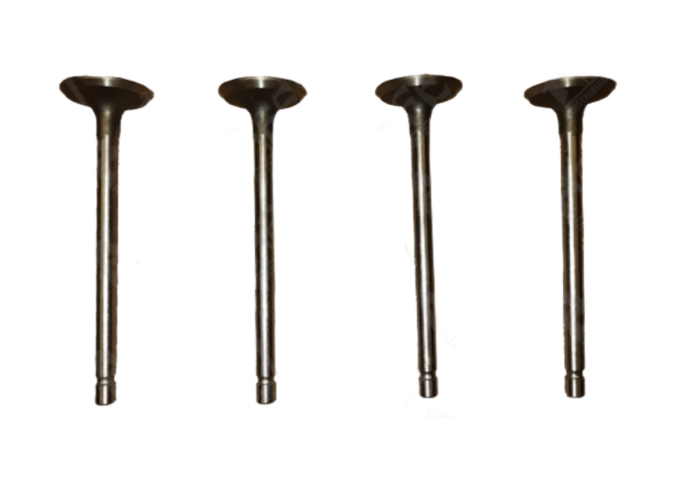 Intake Valve 462-1007009 for Engine