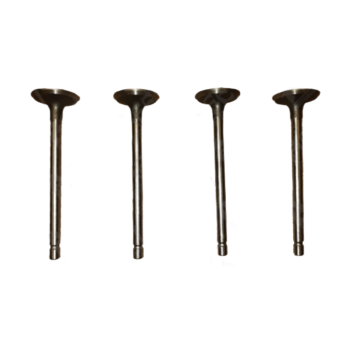 Intake Valve 462-1007009 for Engine