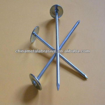 Umbrella head roofing nail(factory)