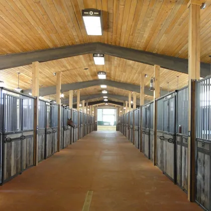 Different styles of horse products and horse stable