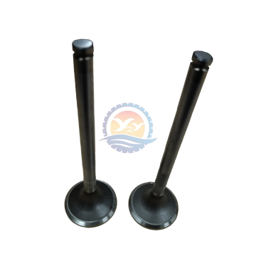 65.04101-0050A Intake Valve for Doosan Engine Parts