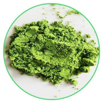 Organic certificated 100% natural matcha tea powder