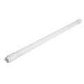 T8 Cool White LED-buizen