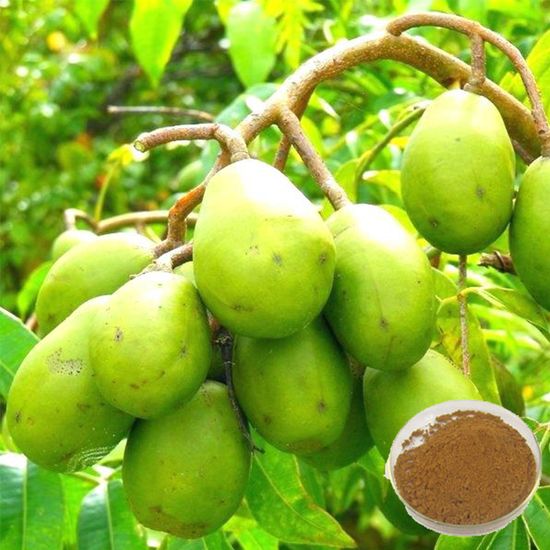 Pygeum Extract (6)