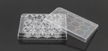Pet MemberAne Cell Culture Inserts สำหรับแผ่น 12 หลุม