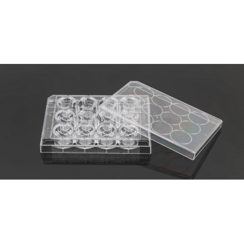 Pet MemberAne Cell Culture Inserts สำหรับแผ่น 12 หลุม