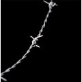 Used galvanized barbed wire for sale