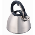 Kettle whistling sound with polished stainless steel