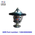 Thermostat for dfsk ammaanta 580 560 SFG18 matoor