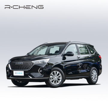 2023 Deluxe Smart Begoline SUV: Haval M6 2WD 1.5T Αερίου