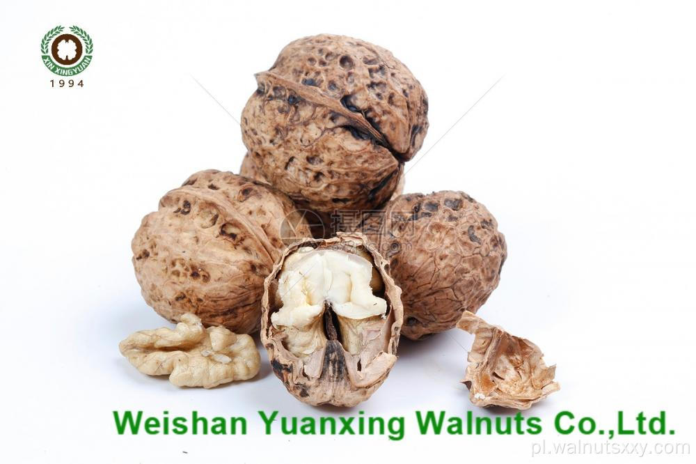 Orzechowe jądra Światło (LP) z Yunnan
