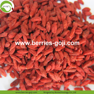 Bekalan Kilang Berkualiti Tinggi Goji Berry Buah Kering