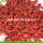 High Quality Factory Supply Dry Fruit Goji Berry