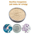Thorne Bacillus Coagulans Probiotic Supplement