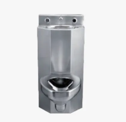 American style combination toilet