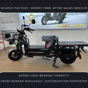 Scooter eléctrico de carga plana de 3 vigas de alta resistencia