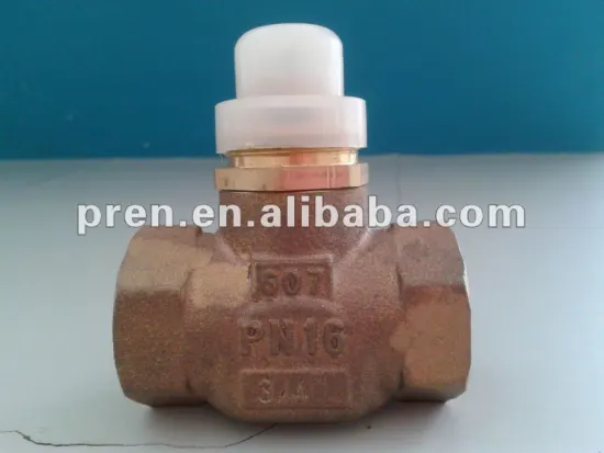 Bronze Check Valve
