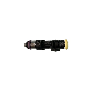 2024 Discount Weichai LNG Fuel Injection Nozzles for Truck Body Parts