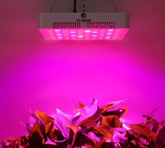 2018 Classical Series greenhouse 200W Full Spectrum panel led grow light