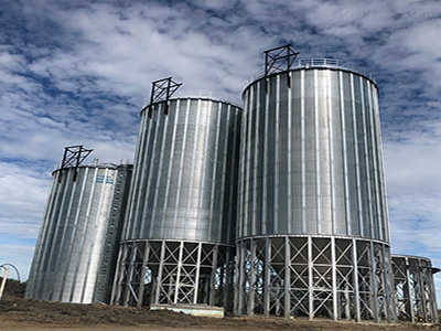 exhibition silo（19）