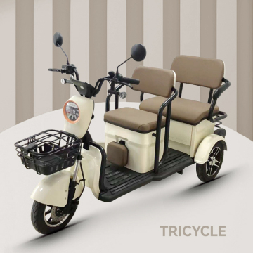 Affordable 800W Electric Tricycles for Adults: Your Guide to Finding the Best Deals