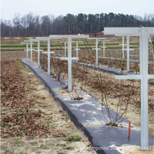 Fiberglass Raspberry Trellis System, High Quality Fiberglass Raspberry ...
