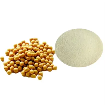 Soy Bean Protein Soy Protein Isolate