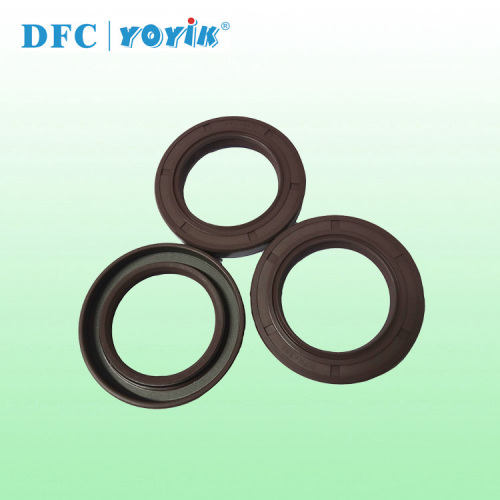 Blade Handle Seals HU25240-22 for power plant