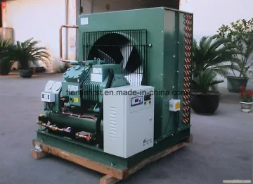 Refrigeration Compressor Quick Freezer Condensing Unit for Freezer