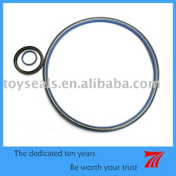 PTFE Spring Energized Seal