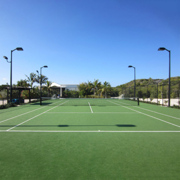 UPremier Tennis Field Utshani bokufakelwa