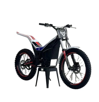 CQHzj 2024 Neues Titanlegungsrahmen E-AT 500 Versuchs-Offroad-Elektromotorrad mit hoher motorischer Effizienz 12 kW