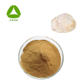 Hericium Erinaceus Powder Lion's Mane Mushroom Extract