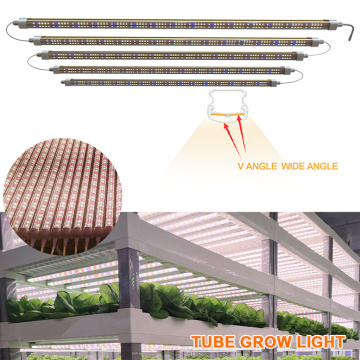 T8 Wachsen Lichter Home Depot