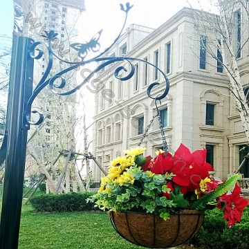 Hanging plant brackets