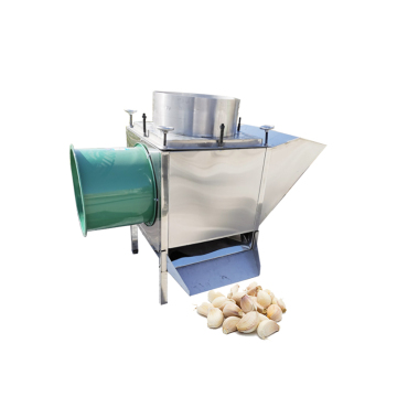 Garlic Processing Equipment: Small Machine for Separating Cloves
