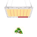 Samsung LM301B high PPFD led grow lights