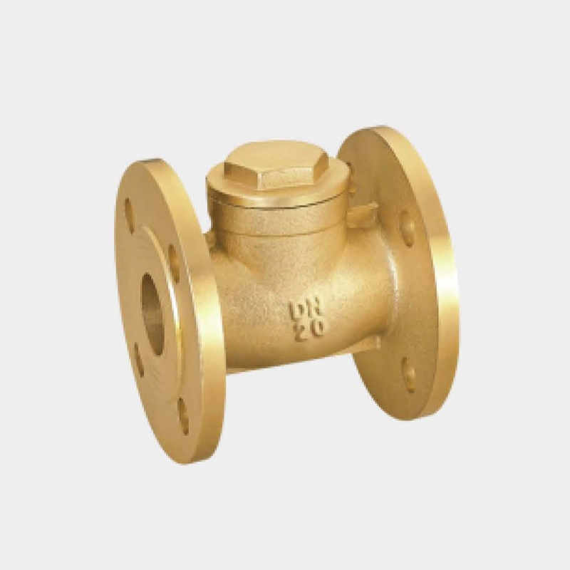 Brass flange check valve