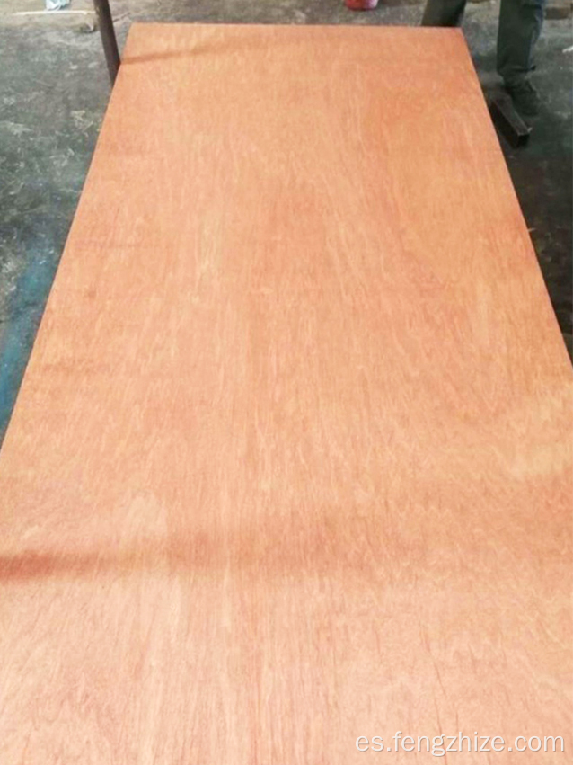 Madera contrachapada de bintangor para muebles de 15 mm de madera contrachapada al por mayor