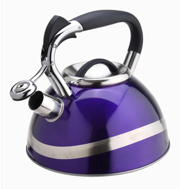 Hot Sell Tea Pot Whistling Kettle