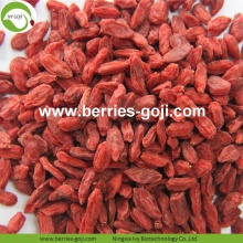 Factory Supply Nutrition Dried Bio Goji