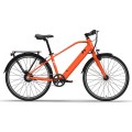 Bicicleta eléctrica personalizada de 26 pulgadas