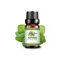 Best Quality 100% Pure Wholesale Price Oregano Oil