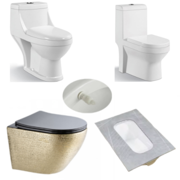 Iraq Washdown One Piece Toilet with Bidet and Rock Slab Squatting Pan