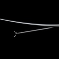 Single-Use Endoscopic Hose-type Biopsy Forceps