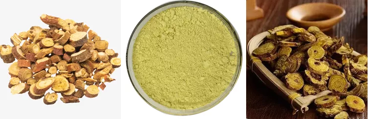 baicalin extract