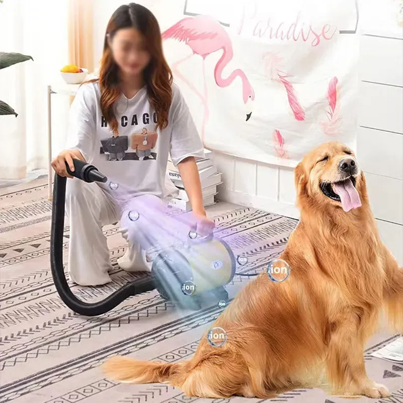 Pet Grooming Blow Dryer and Vacuum Essentials