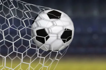 MWN brand tennis/football nets sports netting
